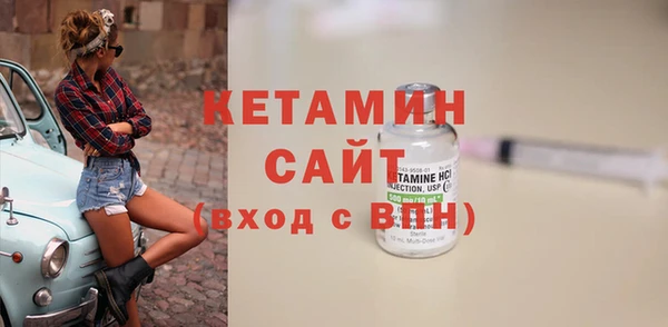 шишки Гусиноозёрск