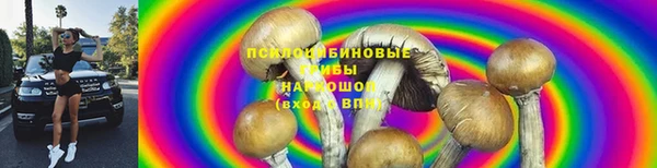 шишки Гусиноозёрск