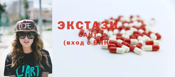 шишки Гусиноозёрск