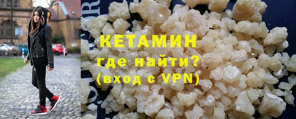 шишки Гусиноозёрск
